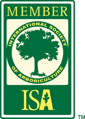 ISA Member Badge